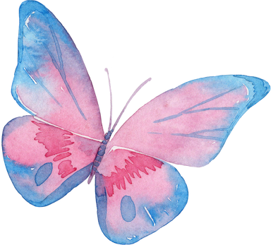 Watercolor butterfly in pink and blue